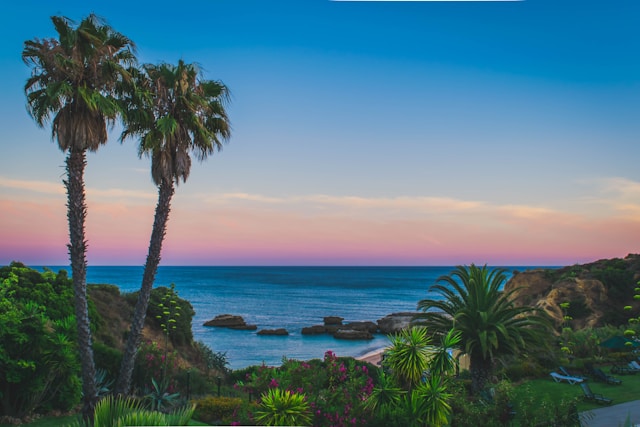 A tropical coastline with palm trees at sunset